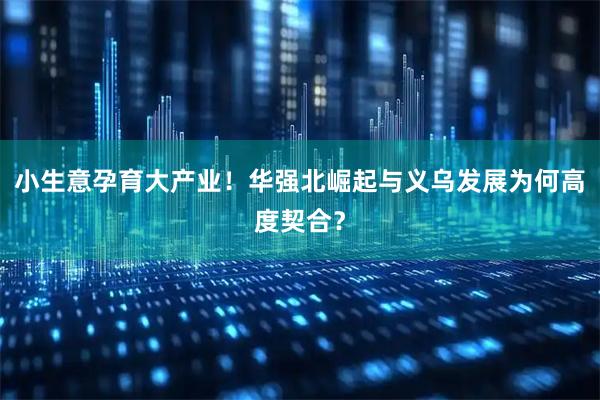 小生意孕育大产业！华强北崛起与义乌发展为何高度契合？