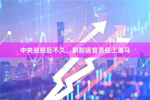 中央巡视后不久，副部级官员任上落马