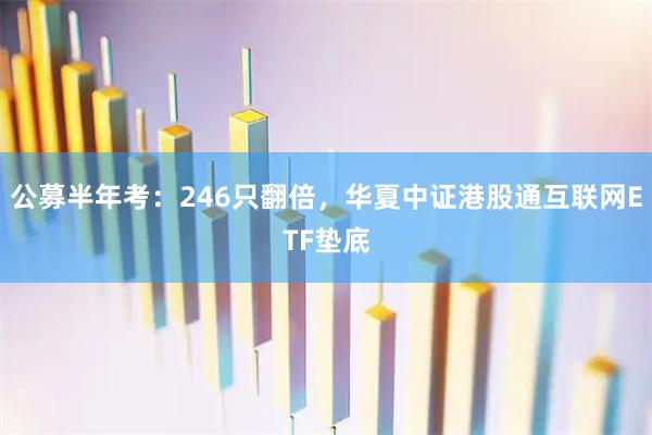 公募半年考：246只翻倍，华夏中证港股通互联网ETF垫底